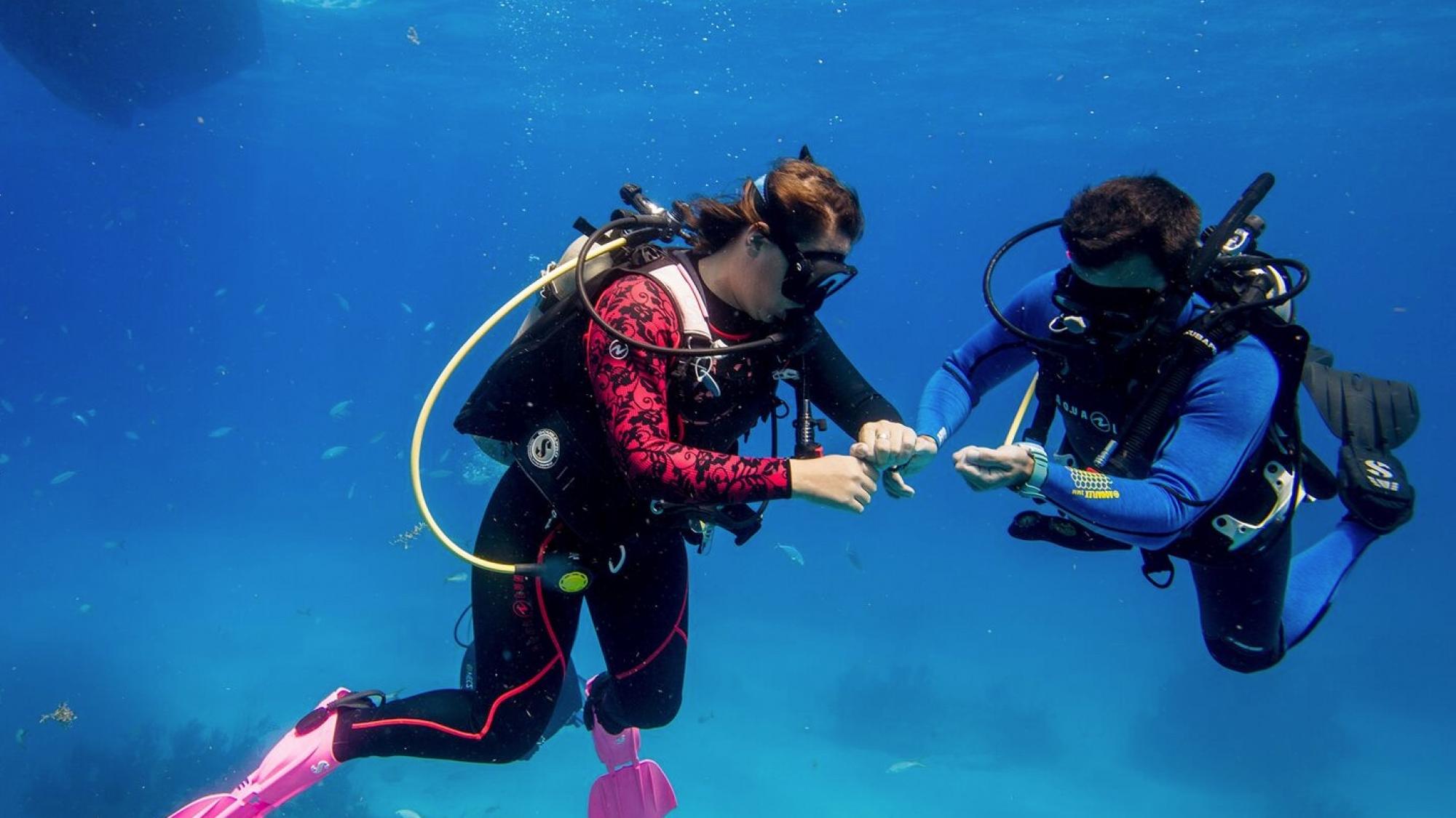 Women's scuba store diving watches